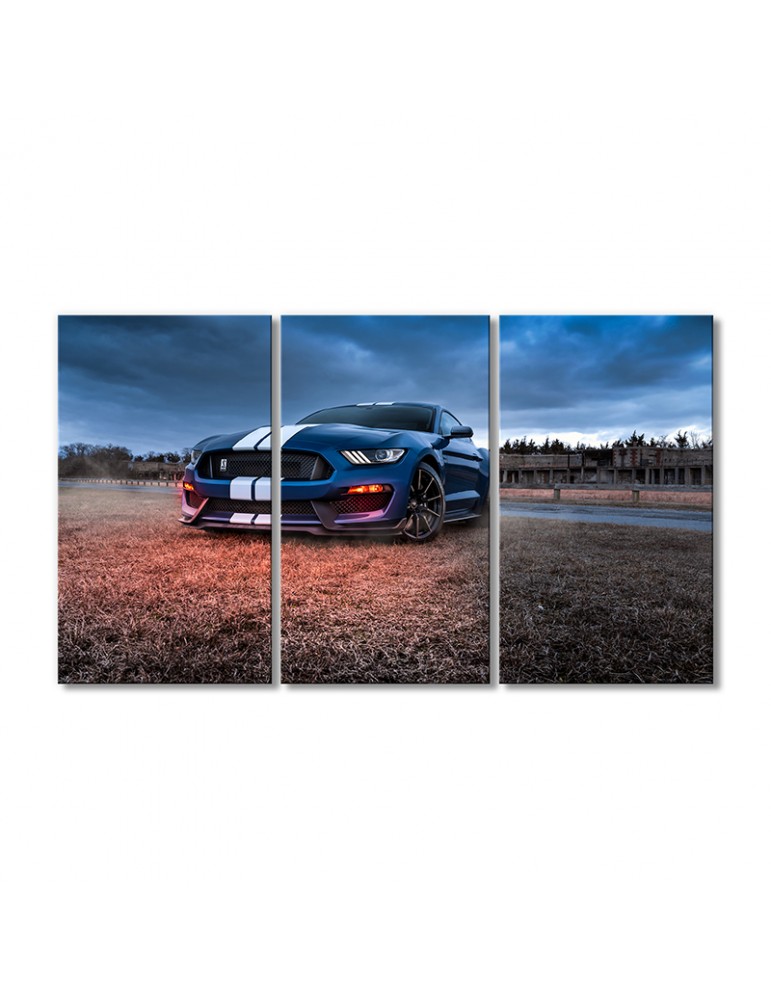 

Модульная картина Artel «Синий Форд Мустанг Шелби GT500» 3 модуля 60x90 см