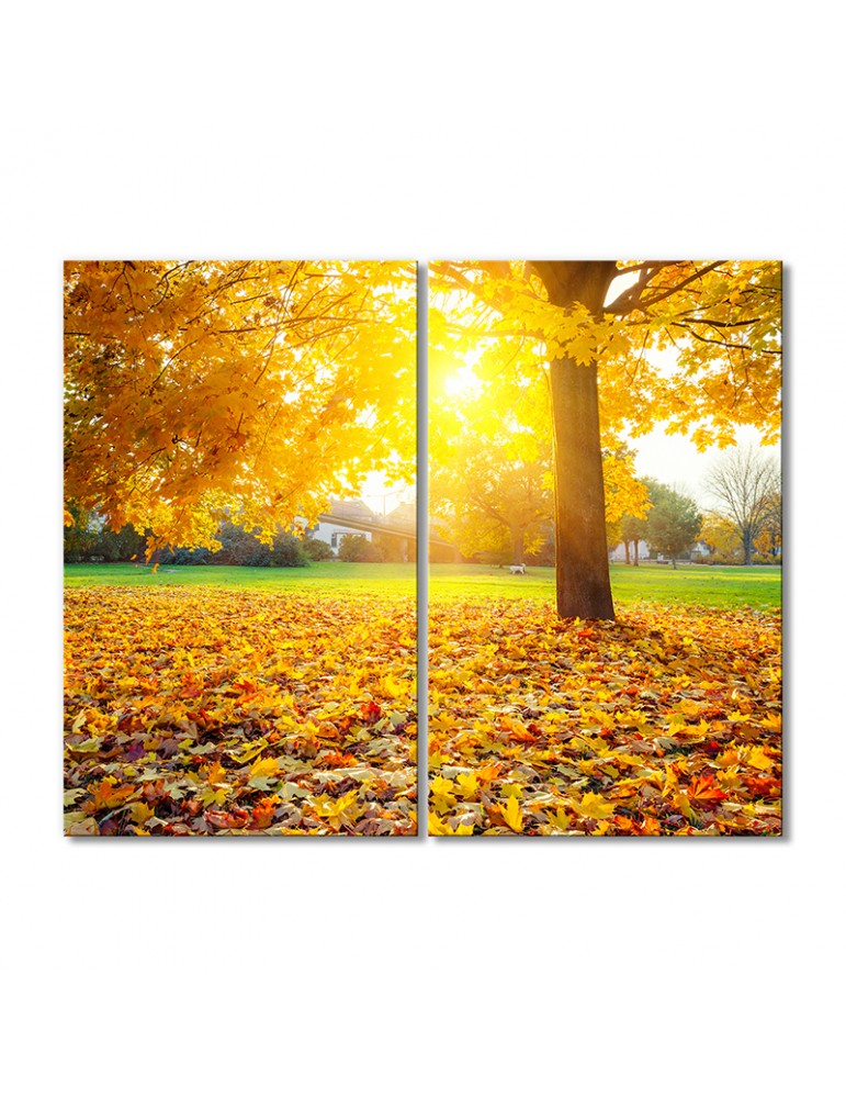 

Модульная картина Artel «Солнечное осеннее утро» 2 модуля 70x105 см