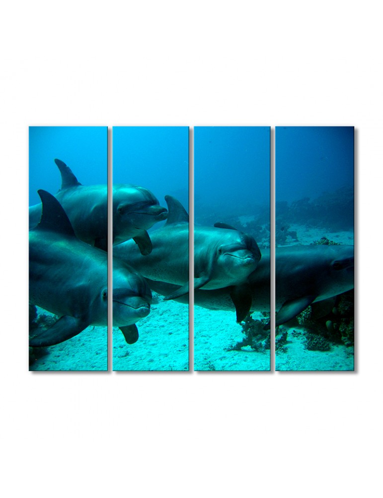 

Модульная картина Artel «Семейство дельфинов» 4 модуля 120x180 см