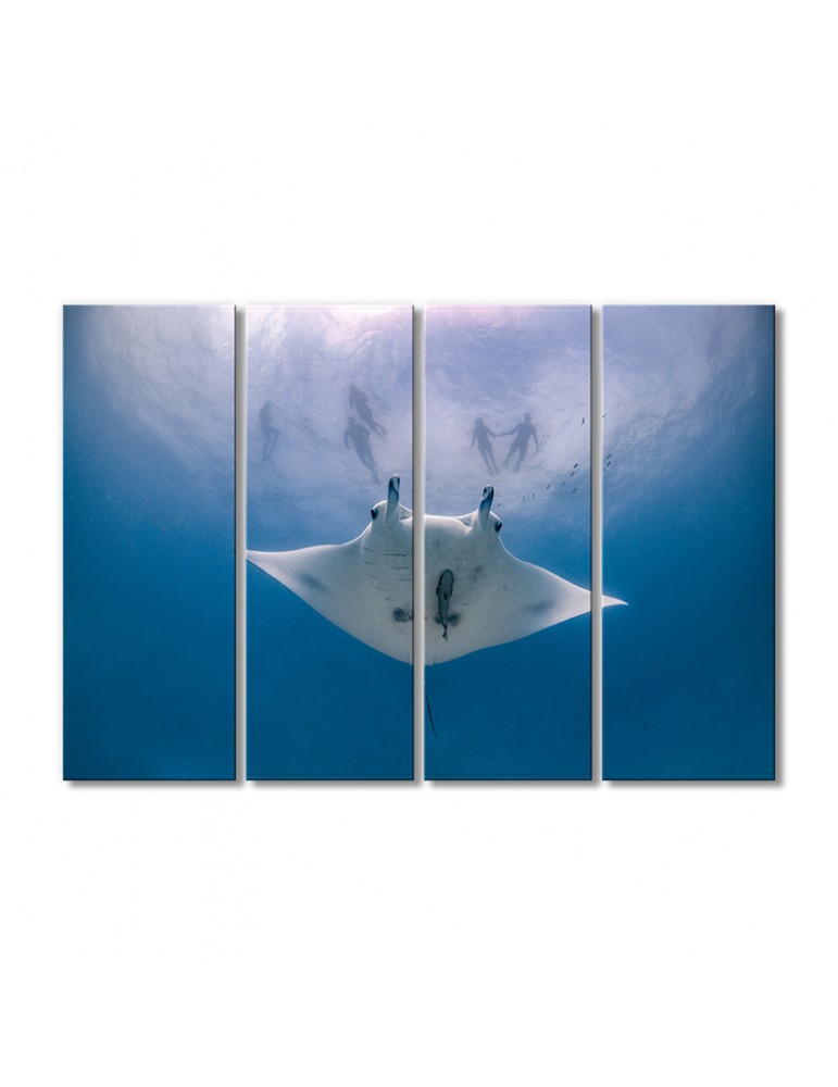 

Модульная картина Artel «Скат» 4 модуля 60x90 см