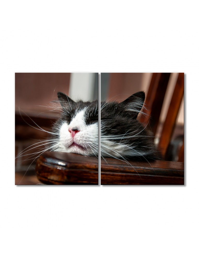 

Модульная картина Artel «Спящий кот» 2 модуля 90x135 см