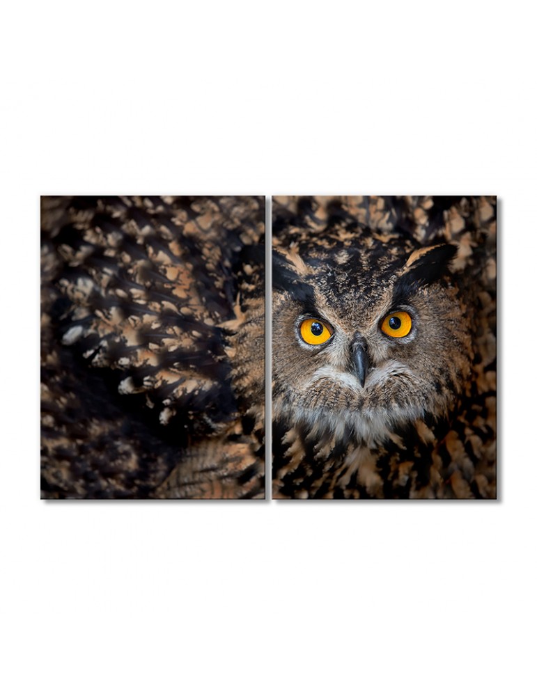 

Модульная картина Artel «Сова» 2 модуля 70x105 см