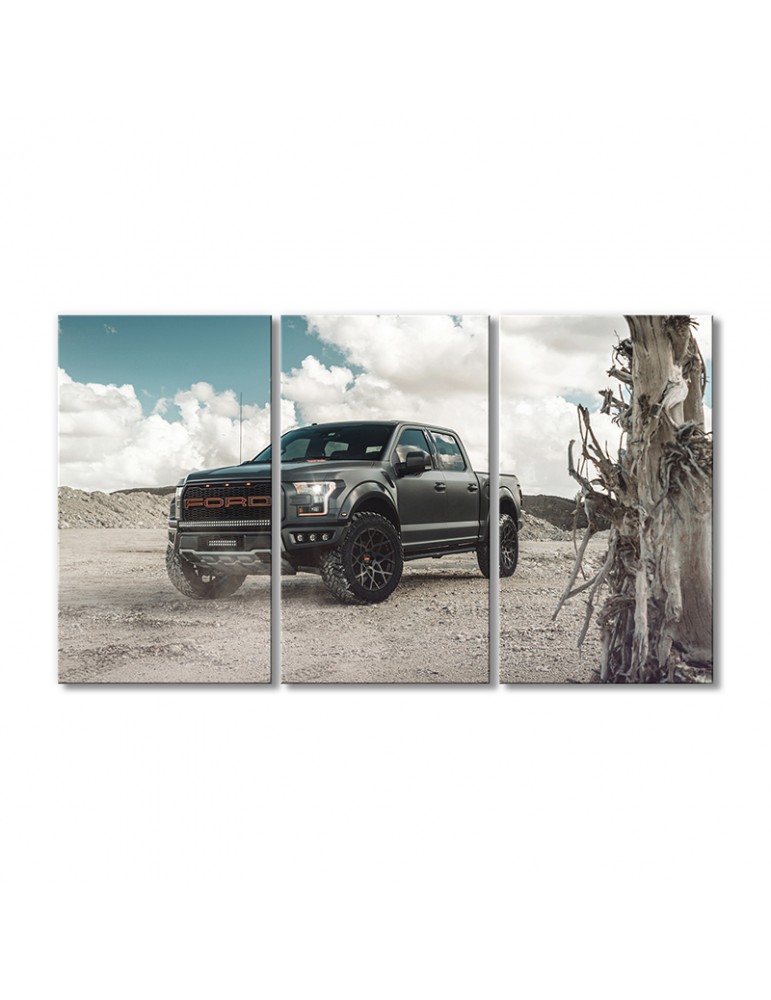 

Модульная картина Artel «Тюнинг Форд F-150 Раптор 2018» 3 модуля 50x75 см