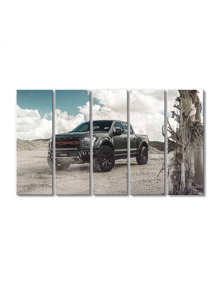 

Модульная картина Artel «Тюнинг Форд F-150 Раптор 2018» 5 модулей 70x105 см