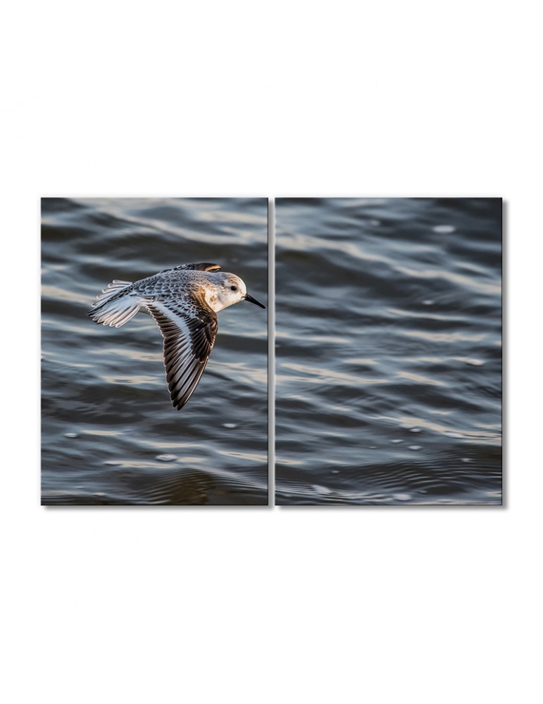 

Модульная картина Artel «Чернозобик над водой» 2 модуля 70x105 см