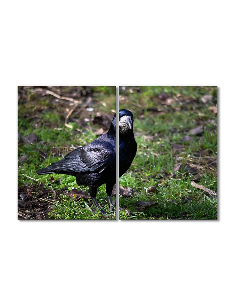 

Модульная картина Artel «Черный ворон» 2 модуля 80x120 см