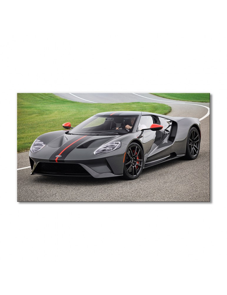 

Модульная картина Artel «Форд GT авто 2019 года» 1 модуль 50x75 см