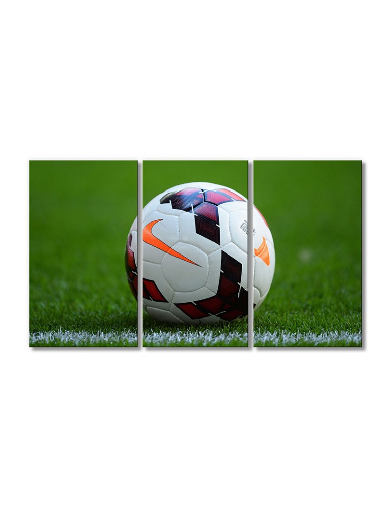 

Модульная картина Artel «Футбольный мяч на поле» 3 модуля 90x135 см