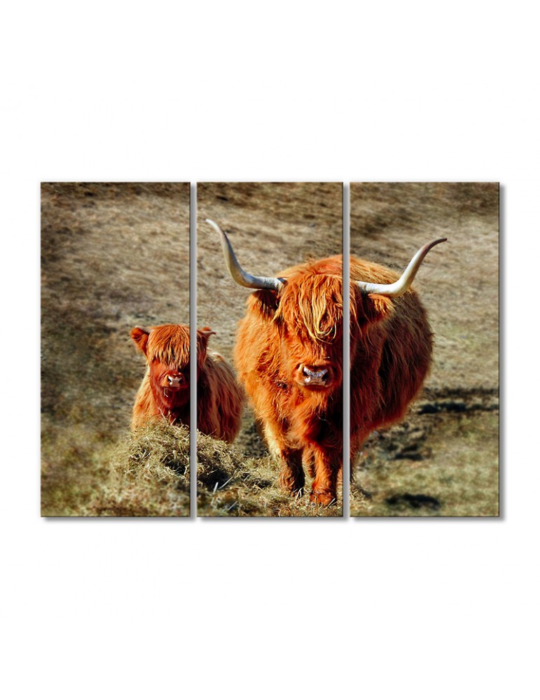 

Модульная картина Artel «Шотландская корова» 3 модуля 120x180 см