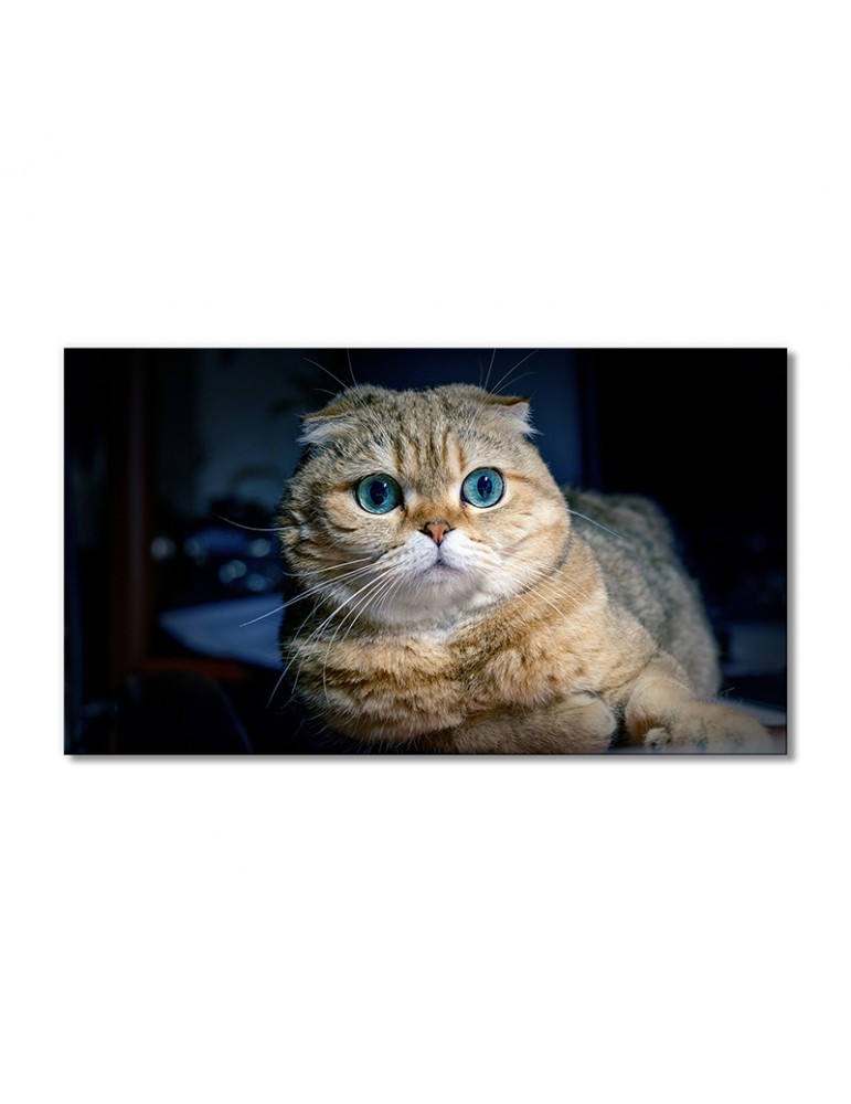 

Модульная картина Artel «Шотландская вислоухая кошка» 1 модуль 80x120 см