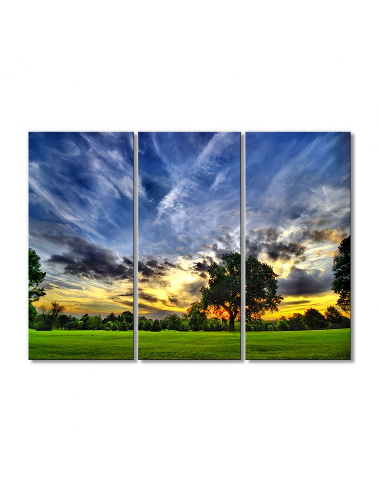 

Модульная картина Artel «У природы нет плохой погоды» 3 модуля 50x75 см