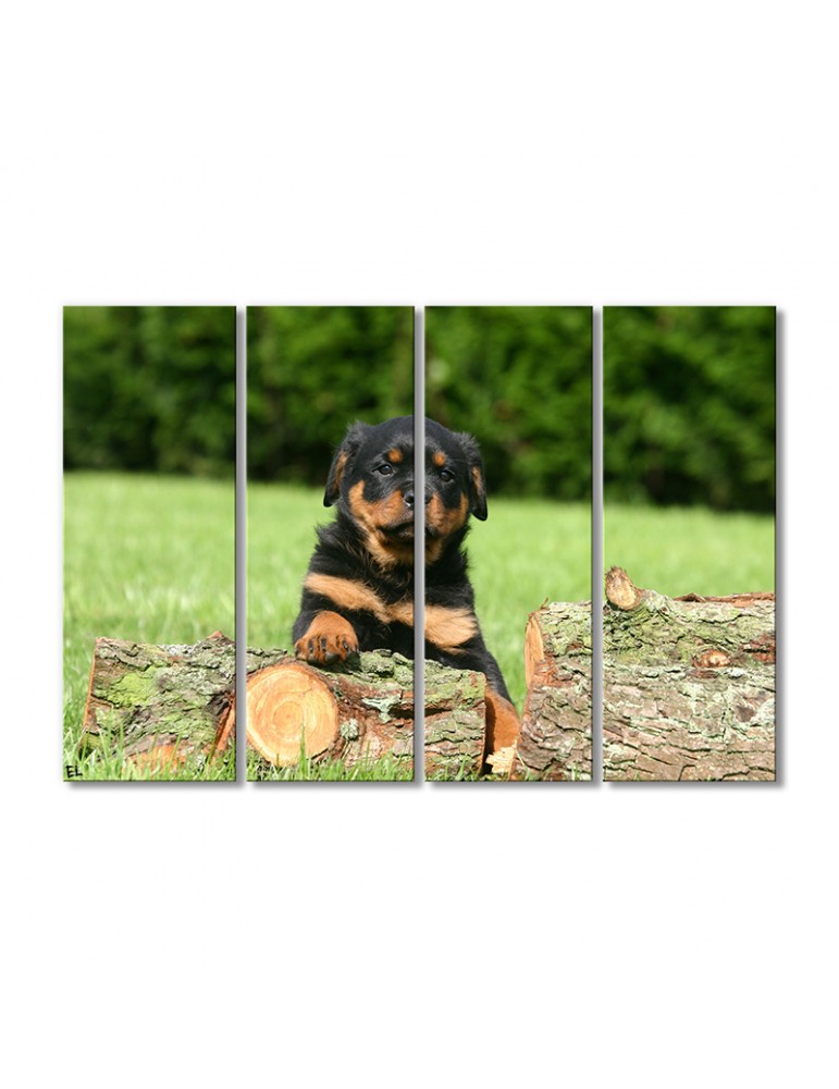 

Модульная картина Artel «Щенок ротвейлера» 4 модуля 70x105 см