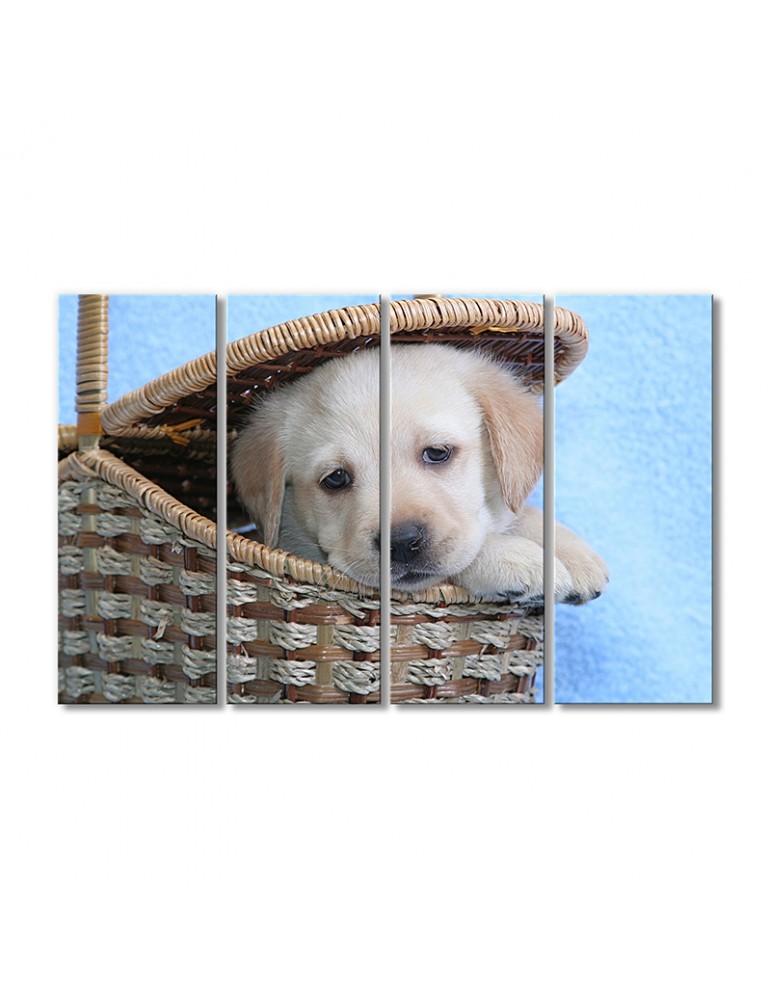 

Модульная картина Artel «Щенок лабрадора в корзине» 4 модуля 70x105 см
