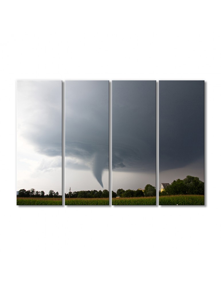 

Модульная картина Artel «Устрашающее торнадо» 4 модуля 70x105 см