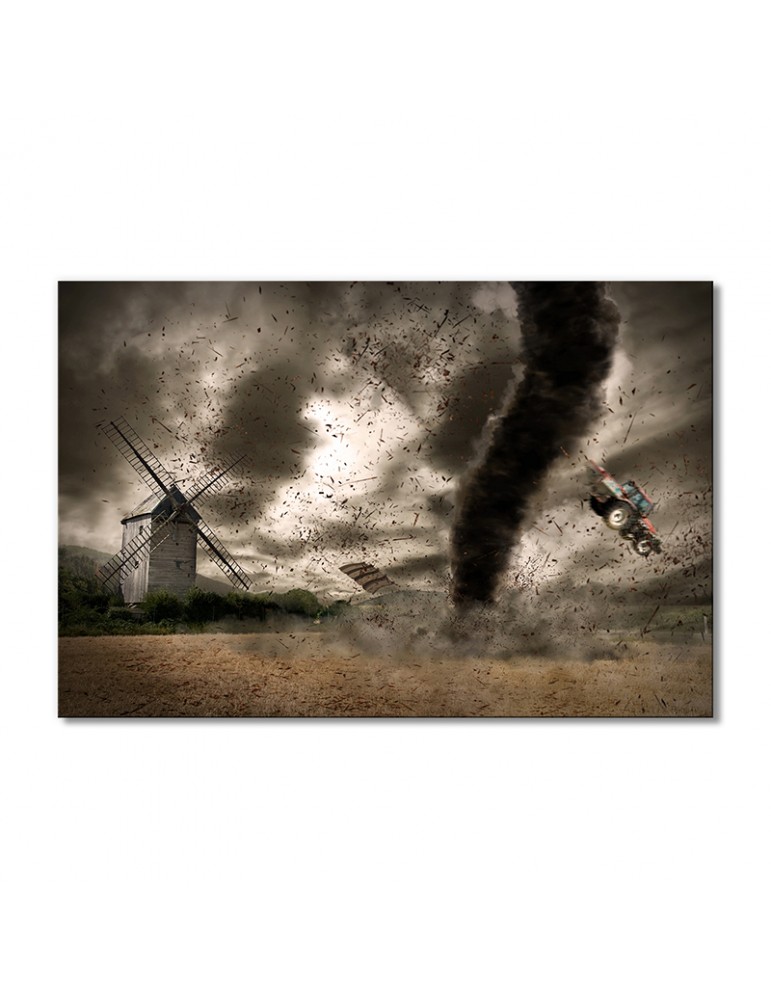 

Модульная картина Artel «Ураган» 1 модуль 70x105 см