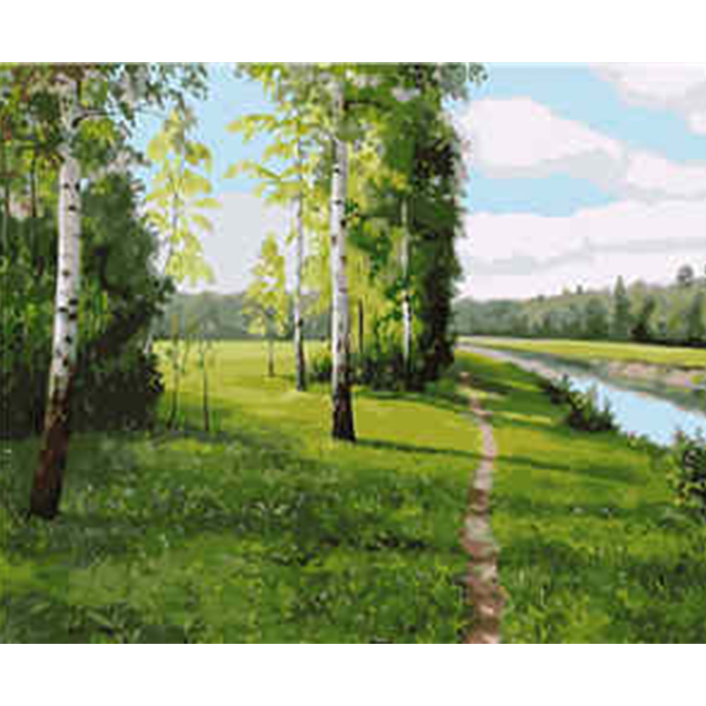 

Картина по номерам Березки, 40х50 см