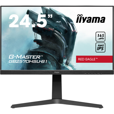 

Монитор 24.5" iiyama GB2570HSU-B