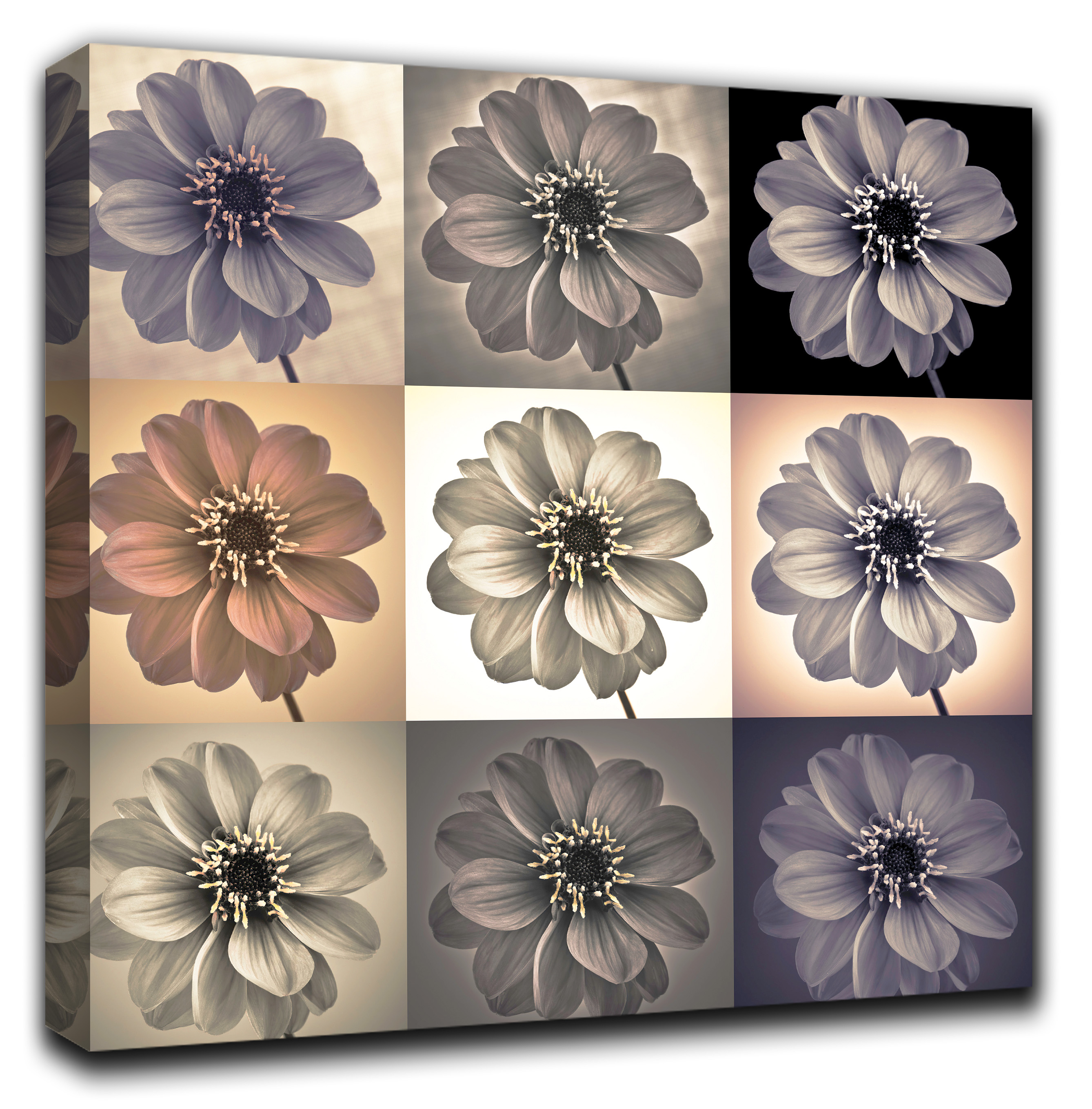 

Картина на массивном подрамнике RozenfeldArt Dahlia-Set-02 80*80 см