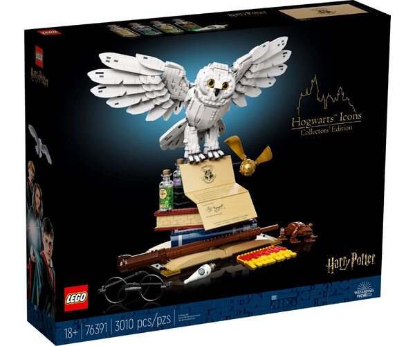 

Конструктор LEGO Harry Potter Коллекционный набор Хогвартс (76391)