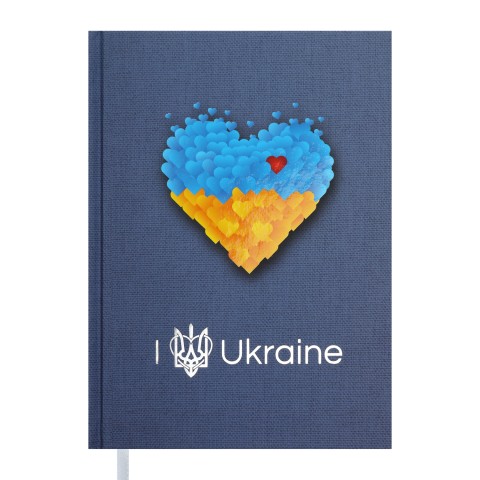 

Ежедневник недатированный Buromax UKRAINE A5 288 страниц серый (BM.2021-09)