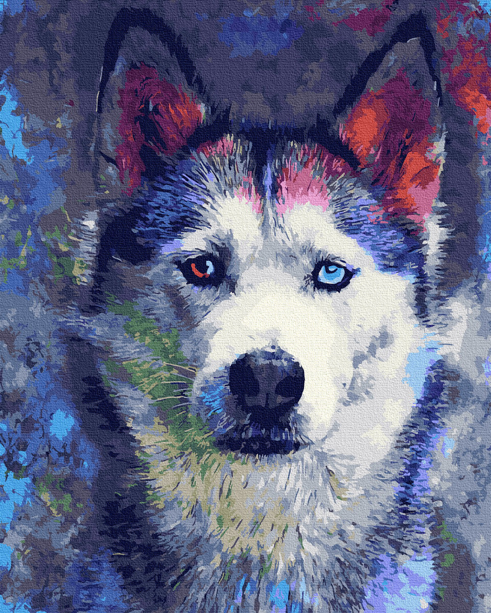 

Картина по номерам Rainbow Art GX30357 40*50 см Одинокий взгляд