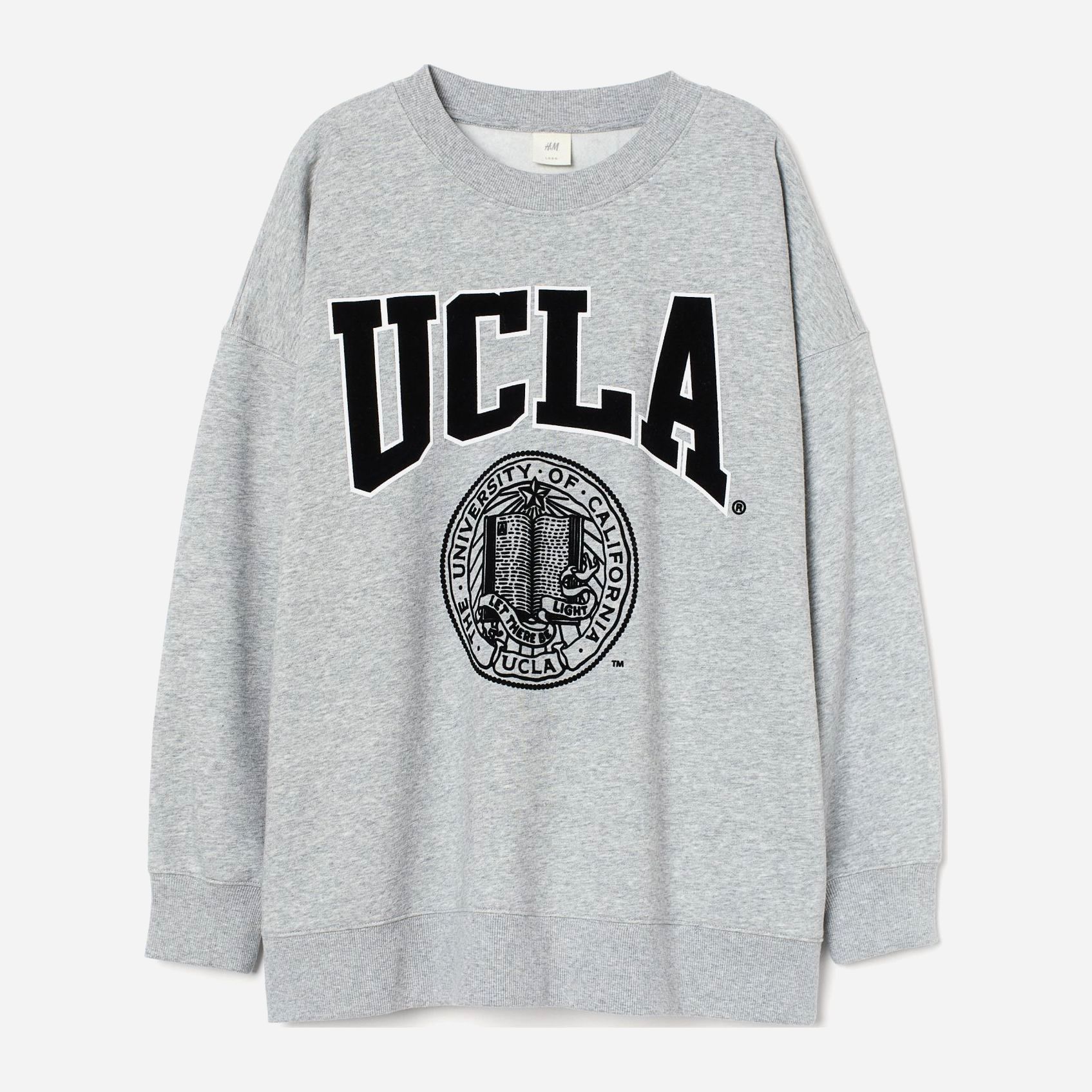 

Свитшот H&M 2010-8759682 L Светло-серый