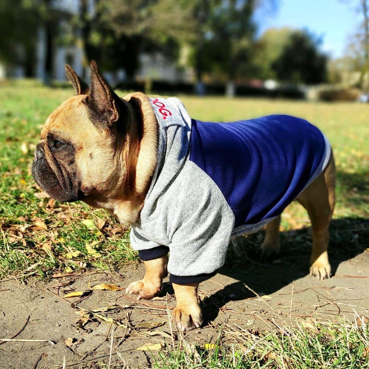 

Кофта для собак DogClub The Dog L Blue