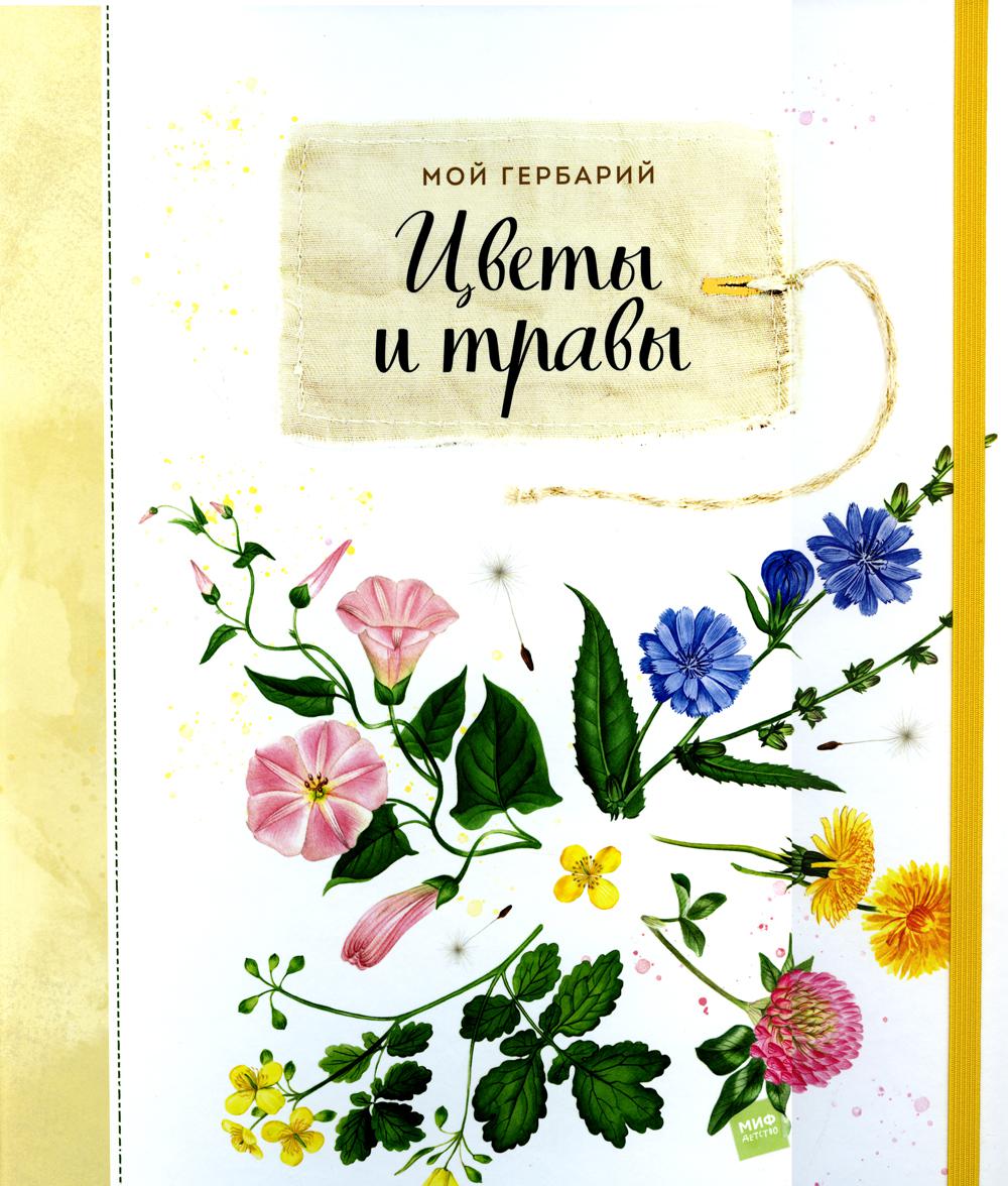 

Мой гербарий. Цветы и травы (4346253)
