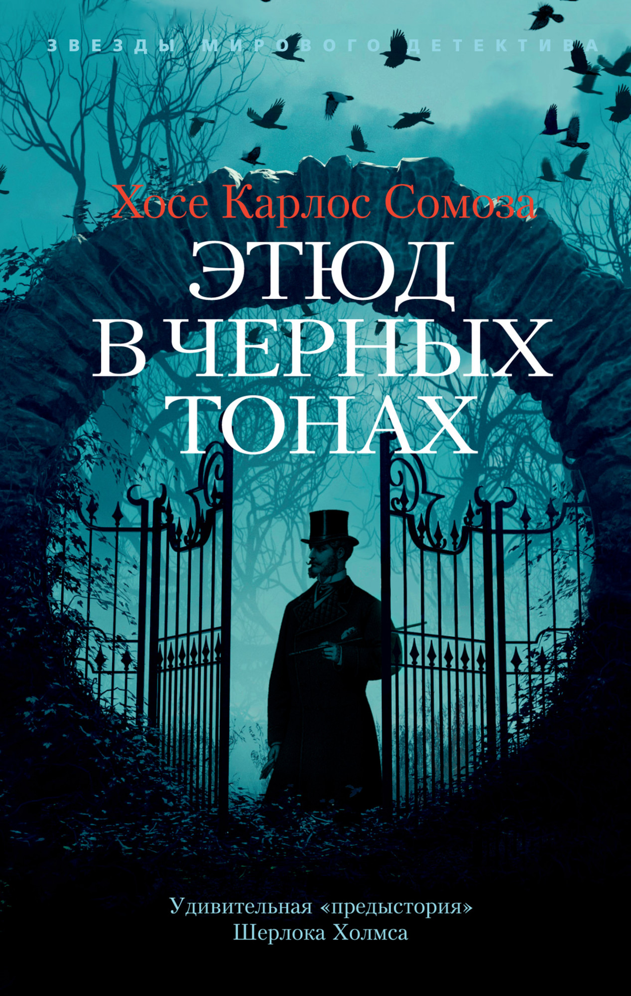 

Этюд в черных тонах (4374112)