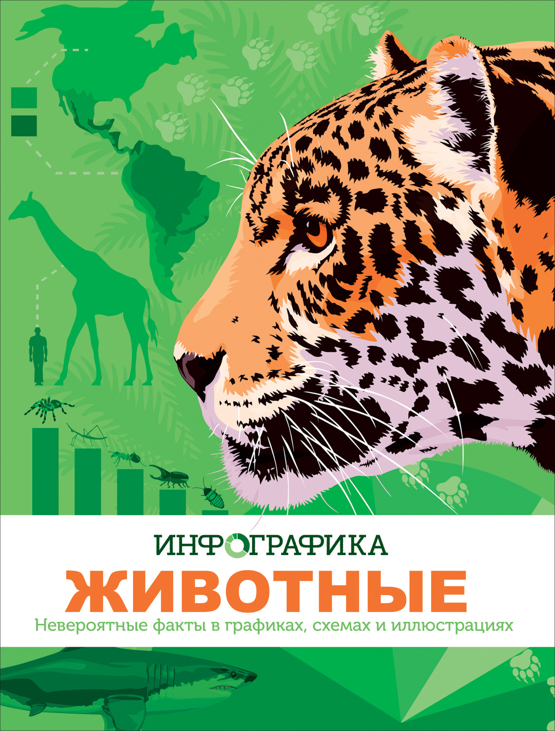 

Животные. Инфографика