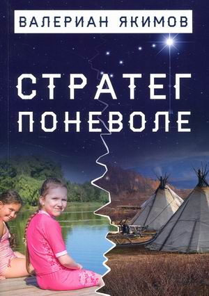 

Стратег поневоле