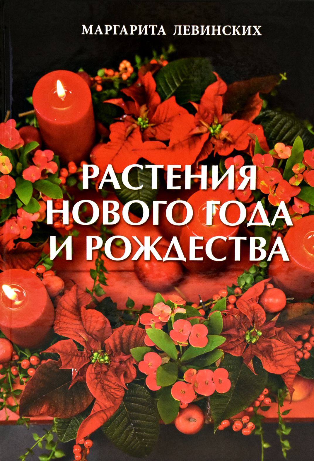 

Растения Нового года и Рождества
