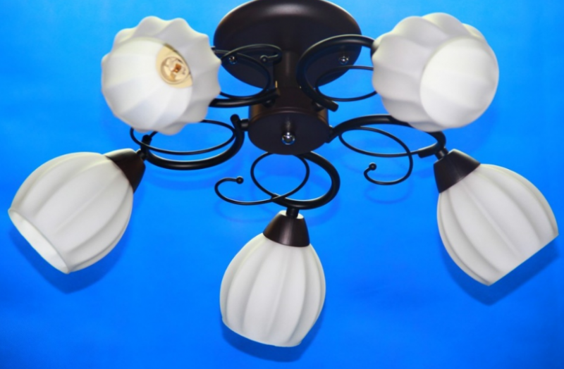 

Люстра с плафонами Ray L28008C/5 (AN004814)
