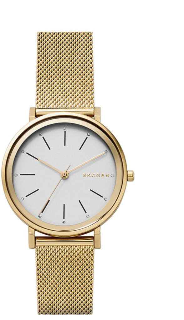 

Часы SKAGEN SKW2509