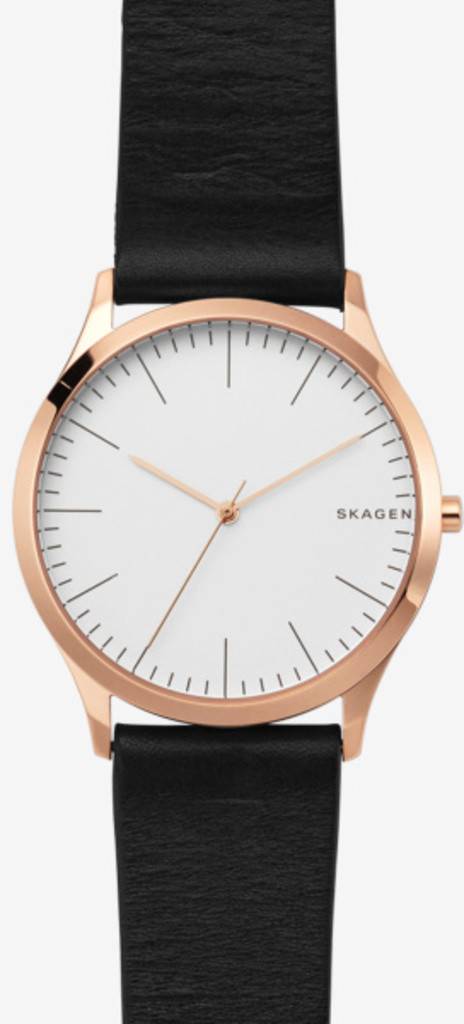 

Часы SKAGEN SKW1102