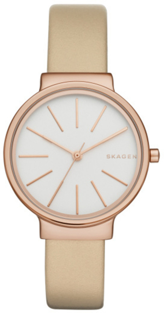 

Часы SKAGEN SKW2481