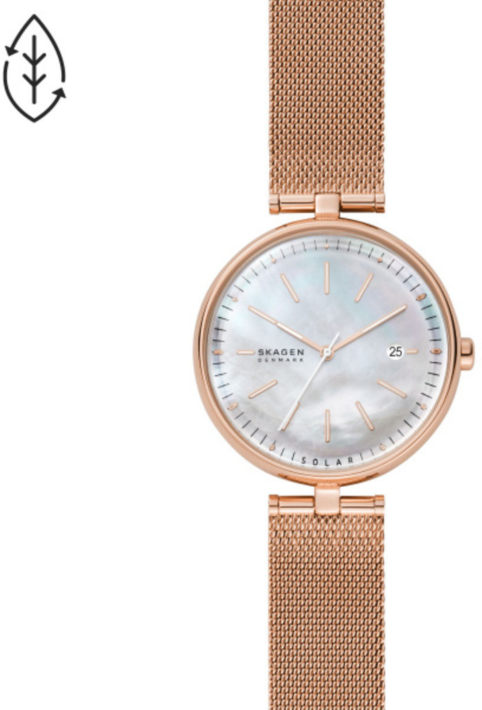 

Часы SKAGEN SKW2980