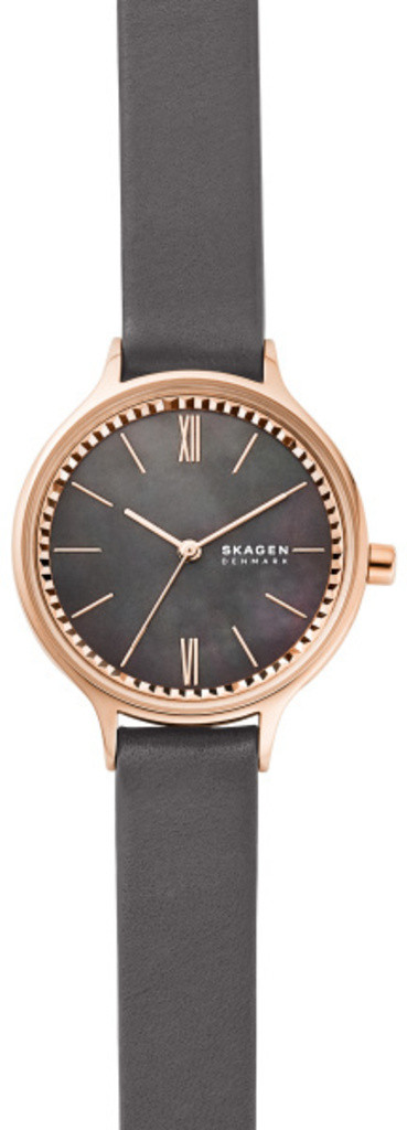 

Часы SKAGEN SKW2909