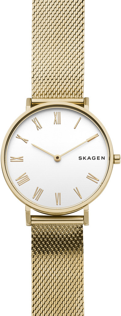 

Часы SKAGEN SKW2713