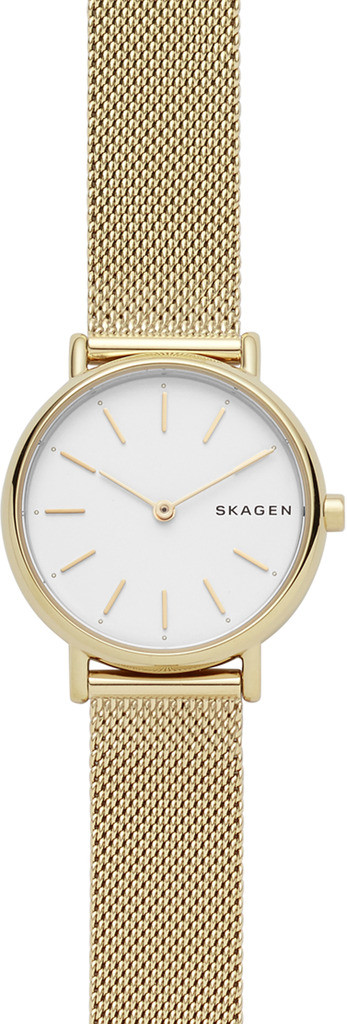 

Часы SKAGEN SKW2693