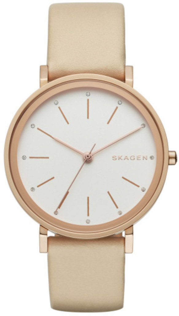 

Часы SKAGEN SKW2489