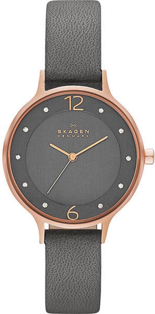 

Часы SKAGEN SKW2267