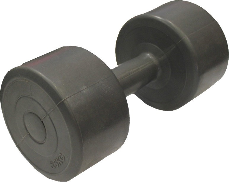 

Гантель Evrotop 5.5 кг SS-LKDB-601-5.5