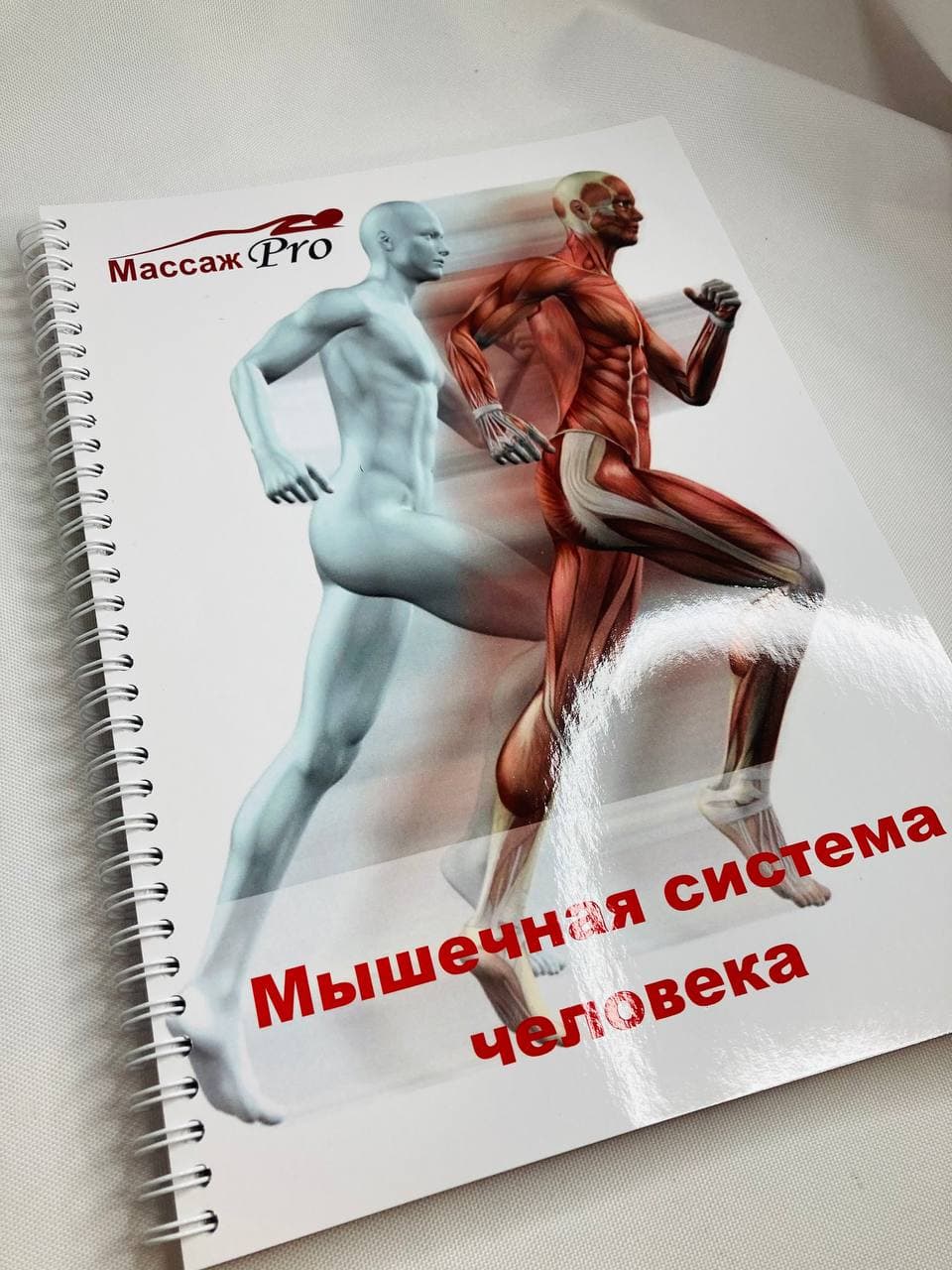 

Методическое пособие Beauty Special Мышечная система человека А4 (8426)