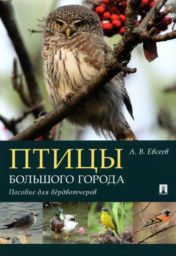 

Птицы большого города. Пособие для бёрдвотчеров - Антон Евсеев (978-5-392-35328-6)