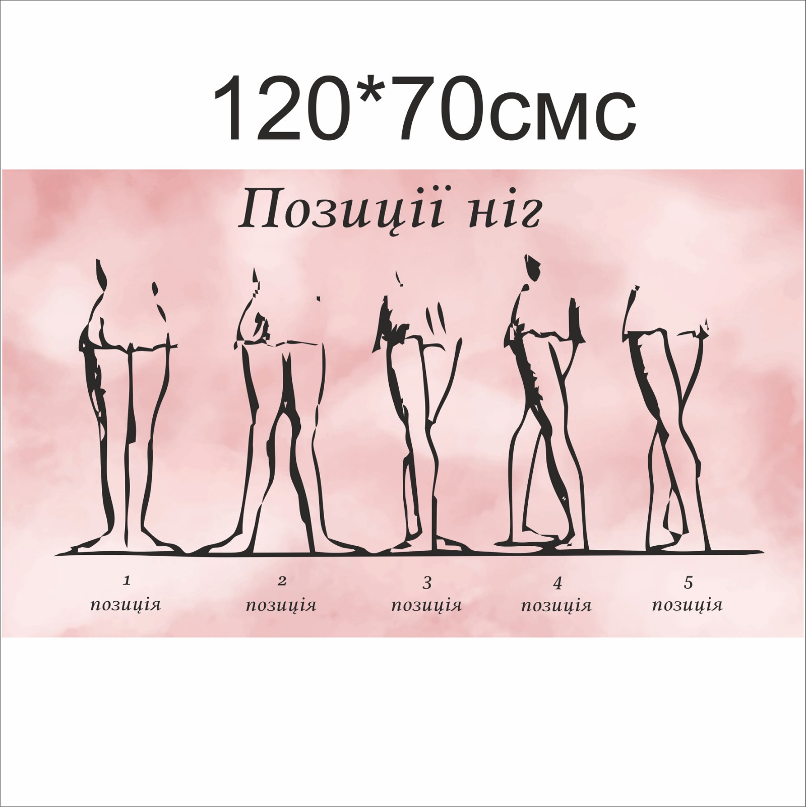 

Плакат Vivay “Позиції ніг” 120x70 см (a8224c-18360)