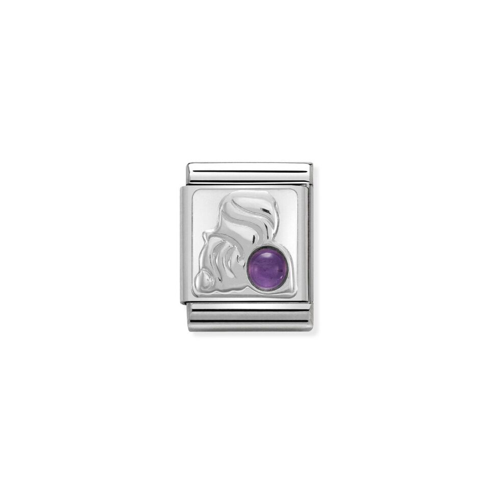 

Звено Nomination Zodiac из стали 2100000261574