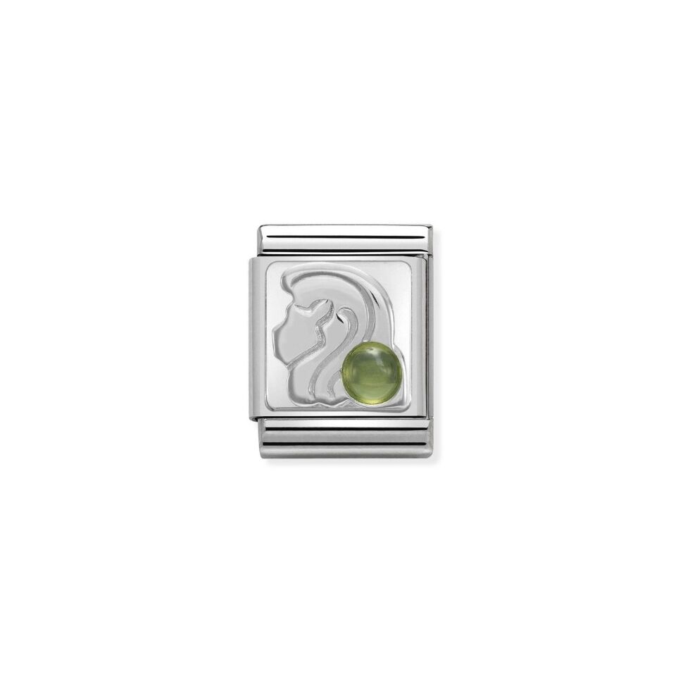 

Звено Nomination Zodiac из стали 2100000261529