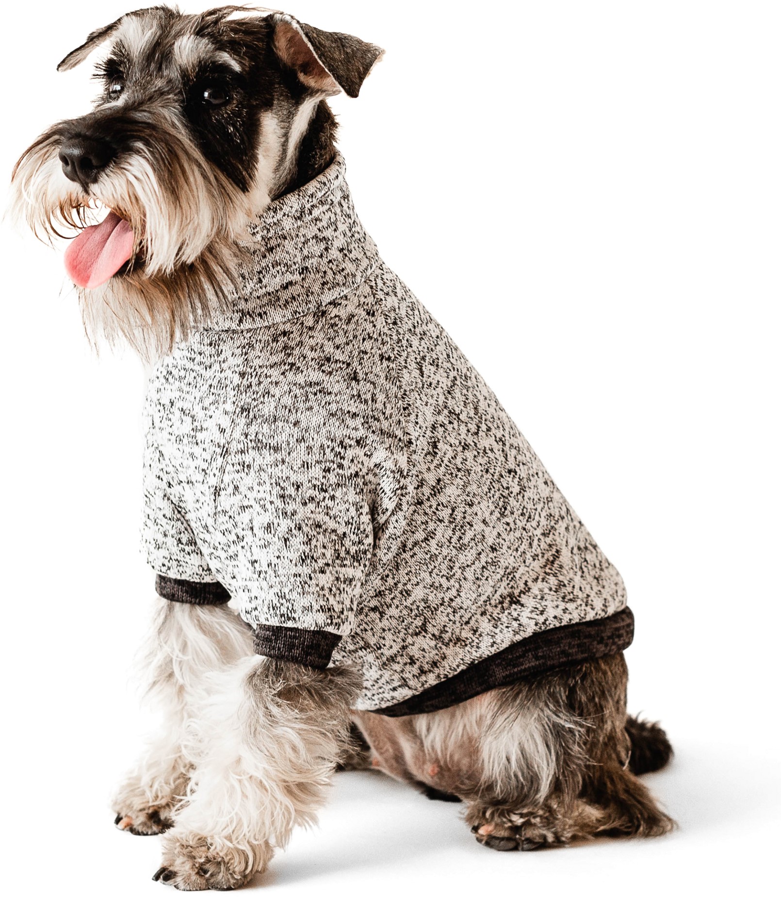 

Свитшот Noble Pet на флисе Frederick Grey FR4111/4XL