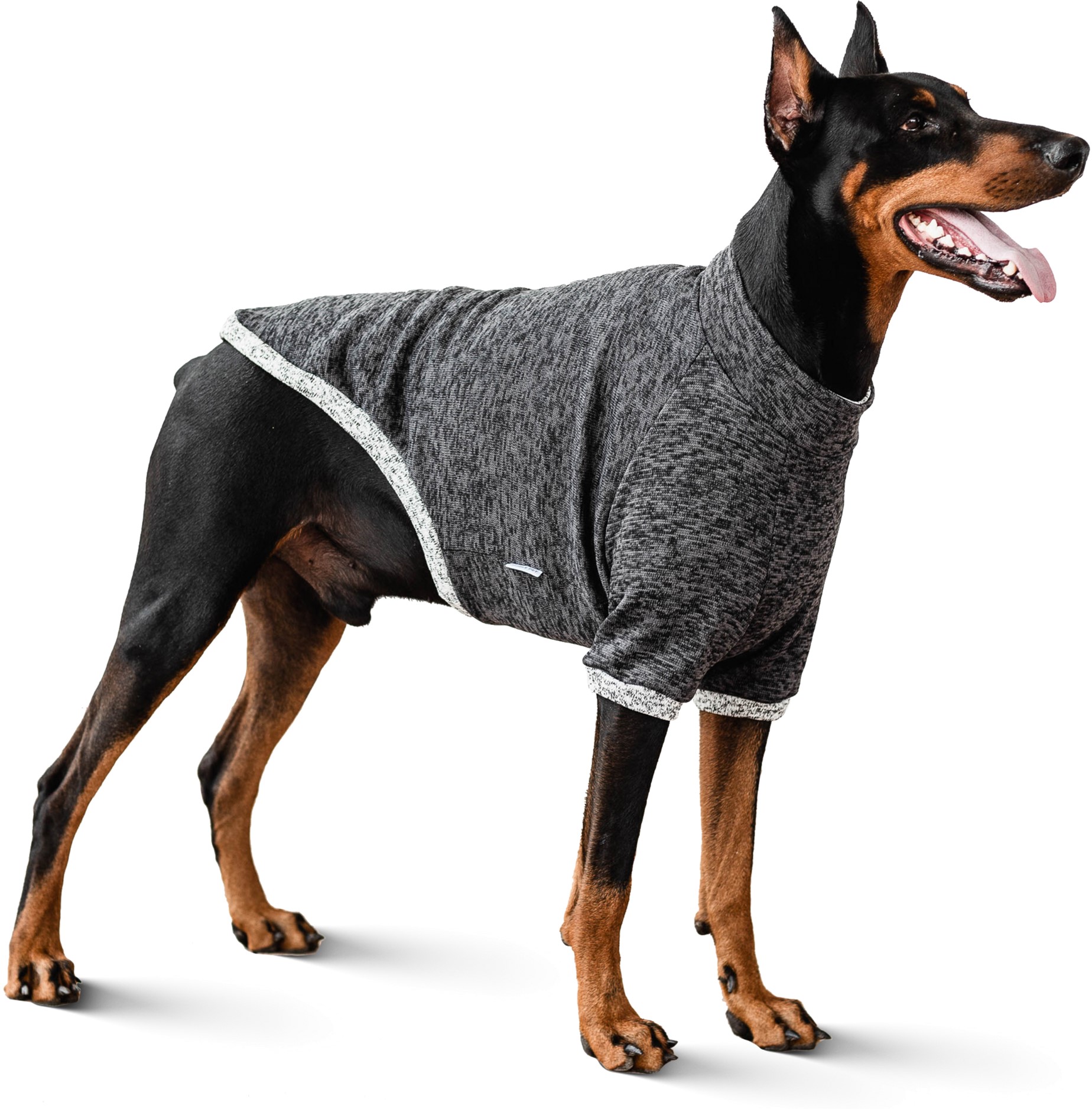

Свитшот Noble Pet на флисе Frederick Dark Grey FR4112/2XL